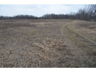 Property photo 25 - 127 Acres Offered in 8 Tracts - Allen & Dekalb County Land